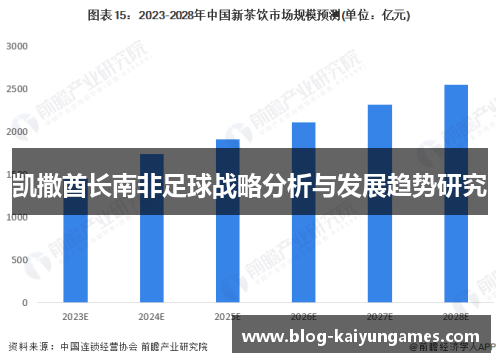 凯撒酋长南非足球战略分析与发展趋势研究 凯撒酋长南非足球战略分析与发展趋势研究