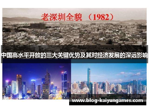 中国高水平开放的三大关键优势及其对经济发展的深远影响